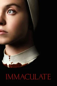 67c2a8c1dec5d1740810433zyopv7D5j7cfswG0NYiA14qAdPC